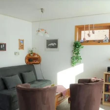 Beautiful Holiday In With Terrace Holiday home
